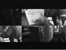 Kocheisen + Hullmann Kombination 1