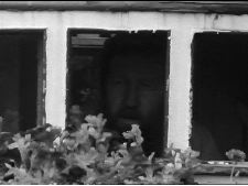 Elmer og blomsterbåten