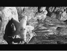 Soft One & the Hard One