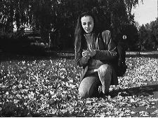 Quatre éléments : Terre