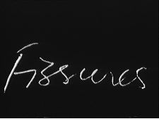 Fissures