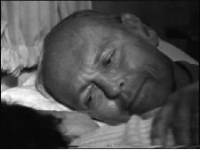 Demokratia. Vitamiinit. Oppositio.