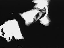 Light in Our Lizard Bellies