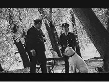 Trois hommes et un chien