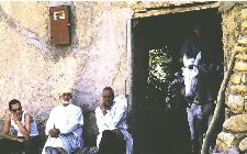 Quand le soleil fait tomber les moineaux