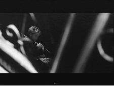 Rats dorment la nuit