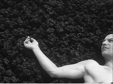 Une belle journée d'été