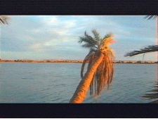 Siwa, une oasis égyptienne