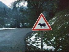 Mais où es-tu passée Marguerite?