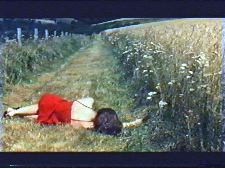 Si les étoiles exaucent nos voeux