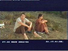 Dans les yeux du chien mort