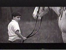 Stefan's Silver Bell