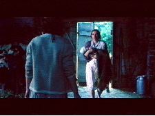 Arbre au chien pendu