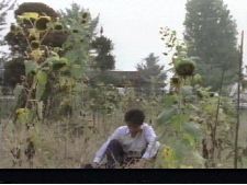 Haebaragiya, yijegman Jamdeulryum