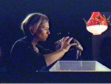 Verrouillage central