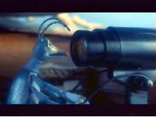 Ensilumi (Turilas & Jäärä)