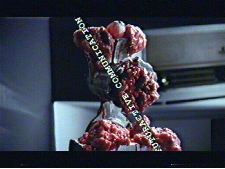 American Bickman Burger