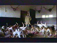 Life and Death On Exmoor