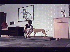 Moving Target