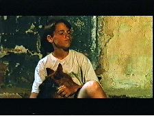 Unas cortes vacaciones