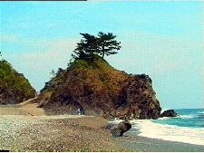 Shakkei - Borrowed Scenery