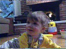 Flight of the Phoenix