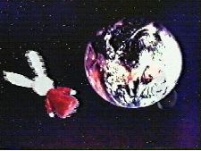 Rabbit with Big Appetite within