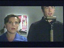 Sad Flamingo No. 132