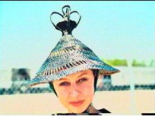 900 Theories of Attraction