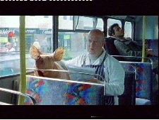 Snout & About / The Butcher