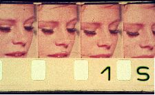 Erotography for the Fastidious Connoisseur