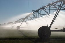O Sprinklers!