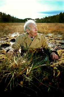 De beste går først