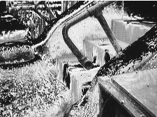 Hang Time on Jones Street