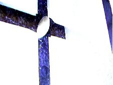 Arche Incertaine de Noé