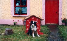 Anté nach bhfuil laidir