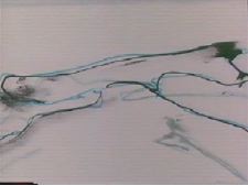 Any Special Somewhere