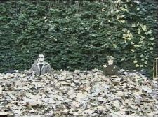 Per les Avingudes Incertes