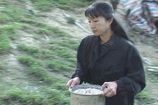 For a Pot of Rice