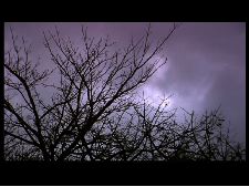 Por encanto - Notas de outono