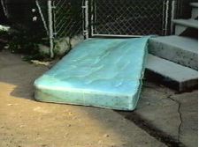 Comme une ombre allongée sur l'asphalte