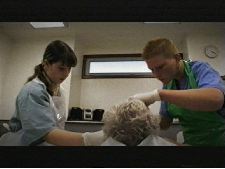 At the End of the Day