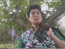 Não me cortes o cabelo que meu