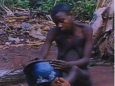 Eau, la forêt, la terre