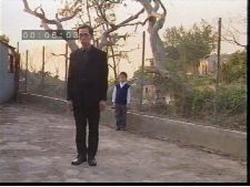 Wednesday Creamy Cake