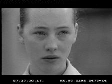 Dans la forêt noire