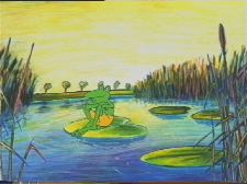 Herbert Apache Frog