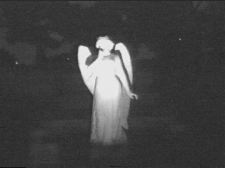 Um Passeio Inusitado