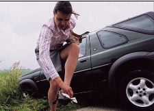Roadkill