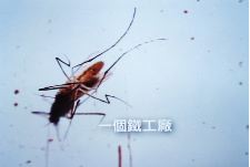 A Song For Killing Summer